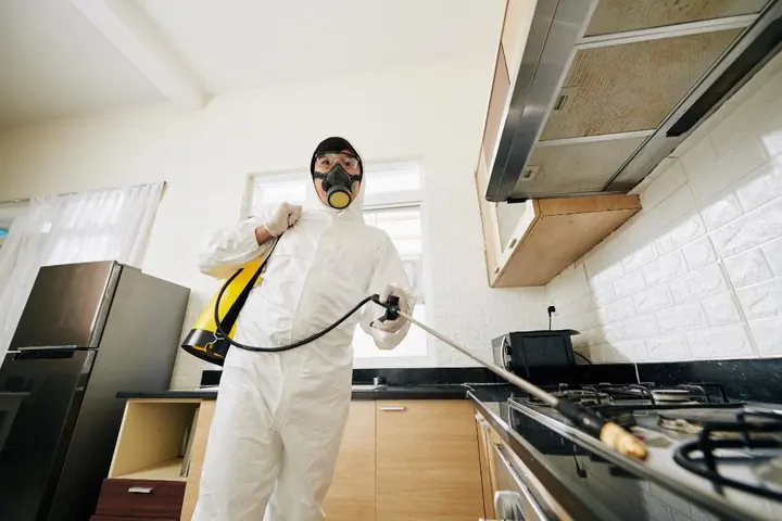 Fly Control pest-control service thumbnail