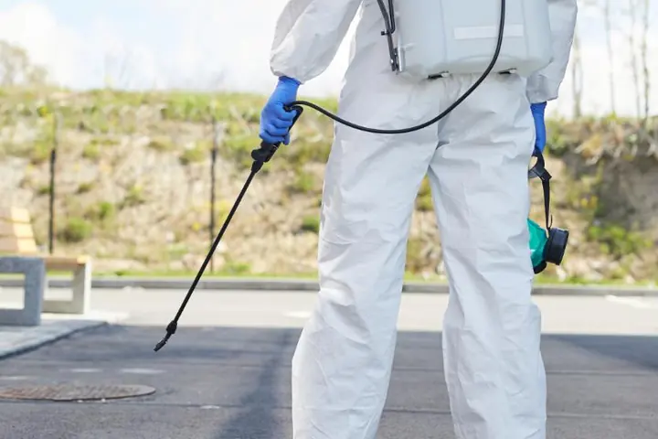 Beetle Control pest-control service thumbnail